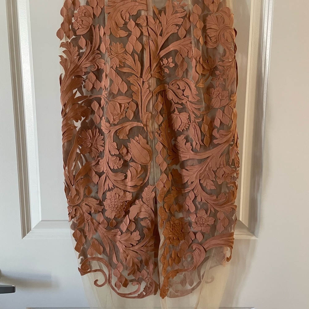 Pankaj & Nidhi Anthropologie Gorgeous Sheer Lace Dress | Small - Picture 5 of 5